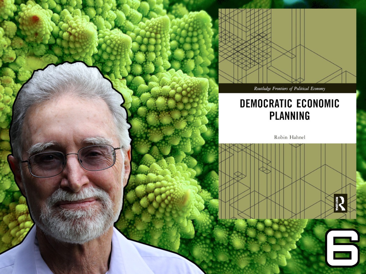 Robin Hahnel Interview on Participatory Economics – Part 6 – Monopoly & Essential Sectors
